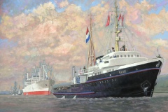 D19.0204
