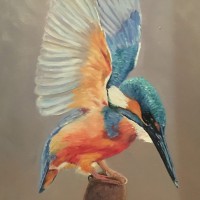 Natuur